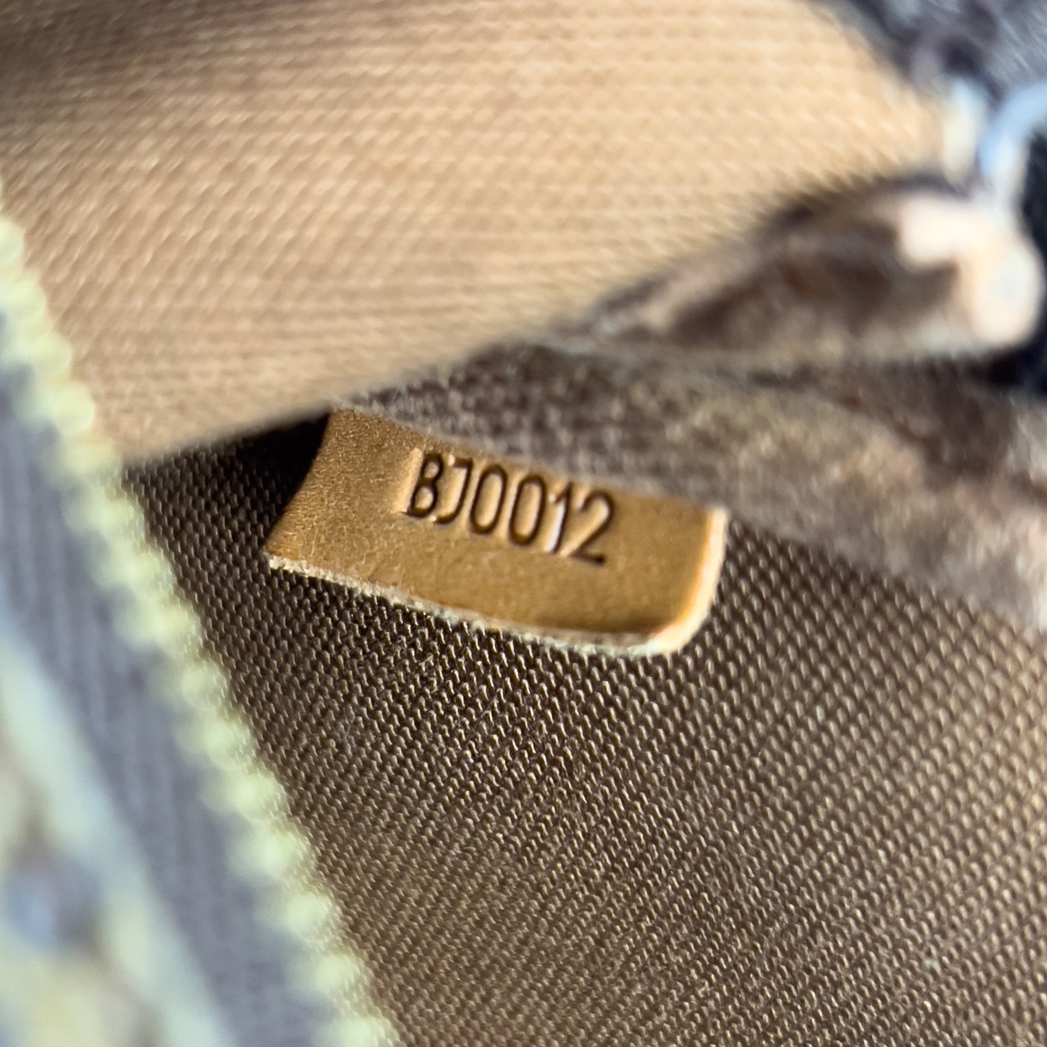 Monogram Pochette