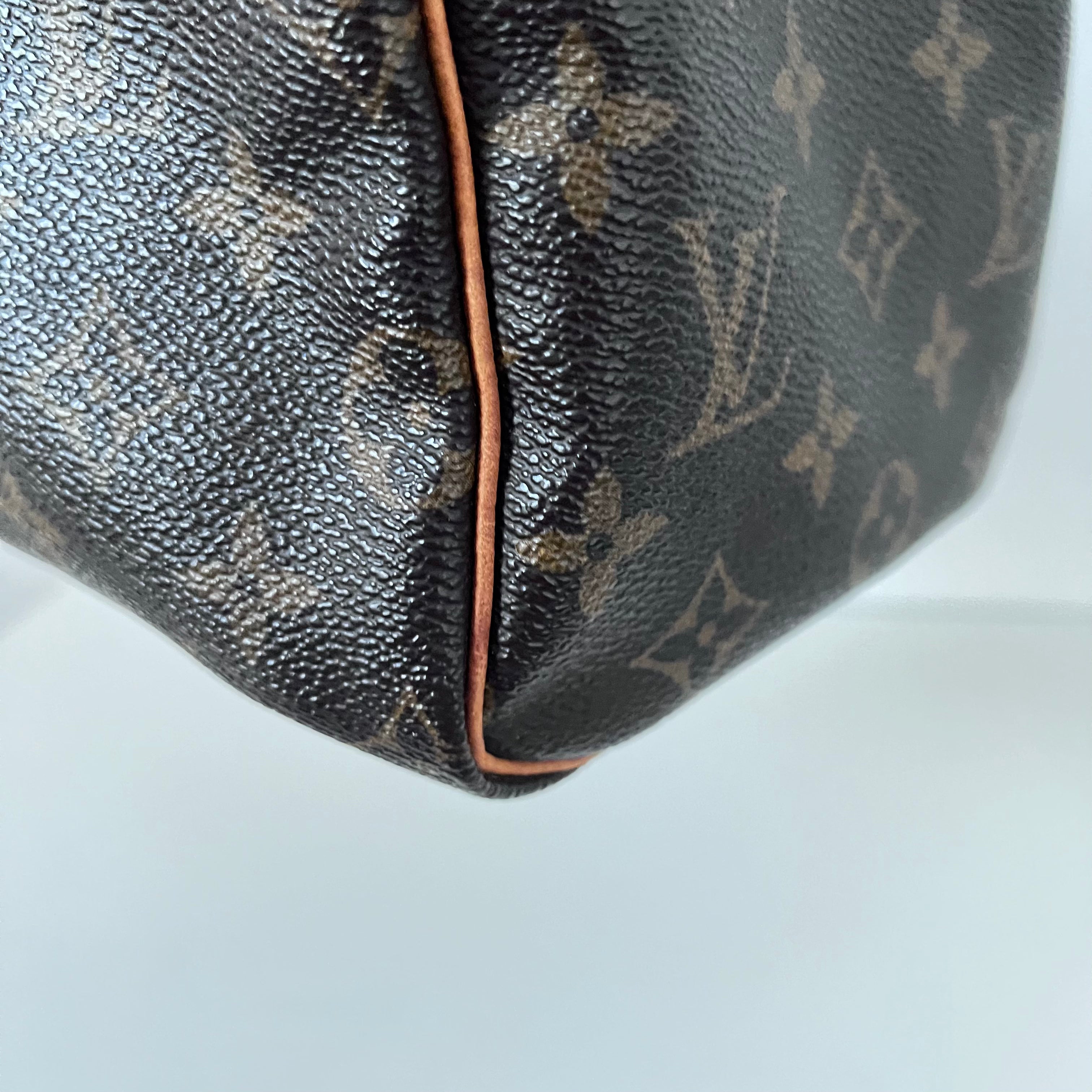 Monogram Speedy 25