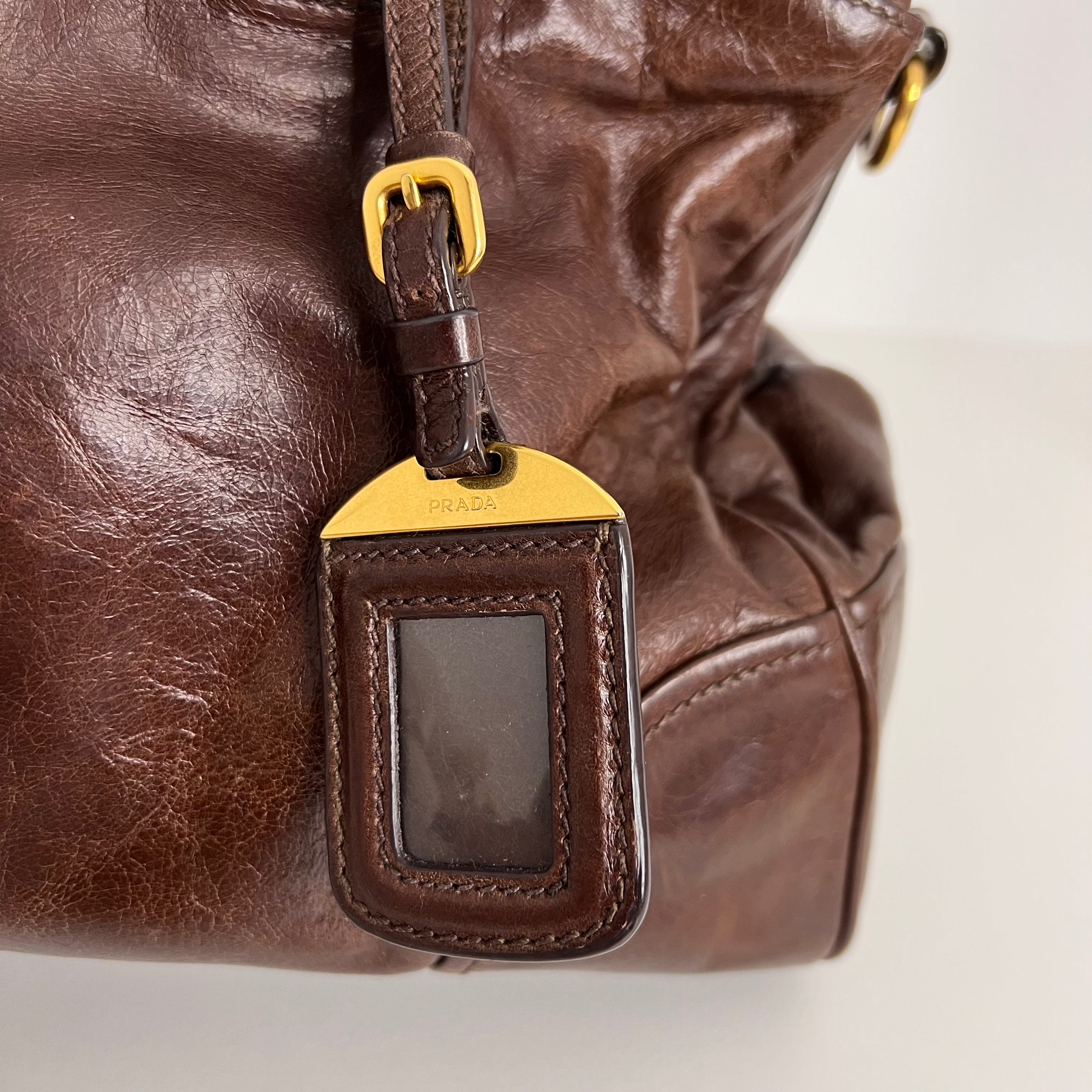 Brown Vitello Shine Handbag