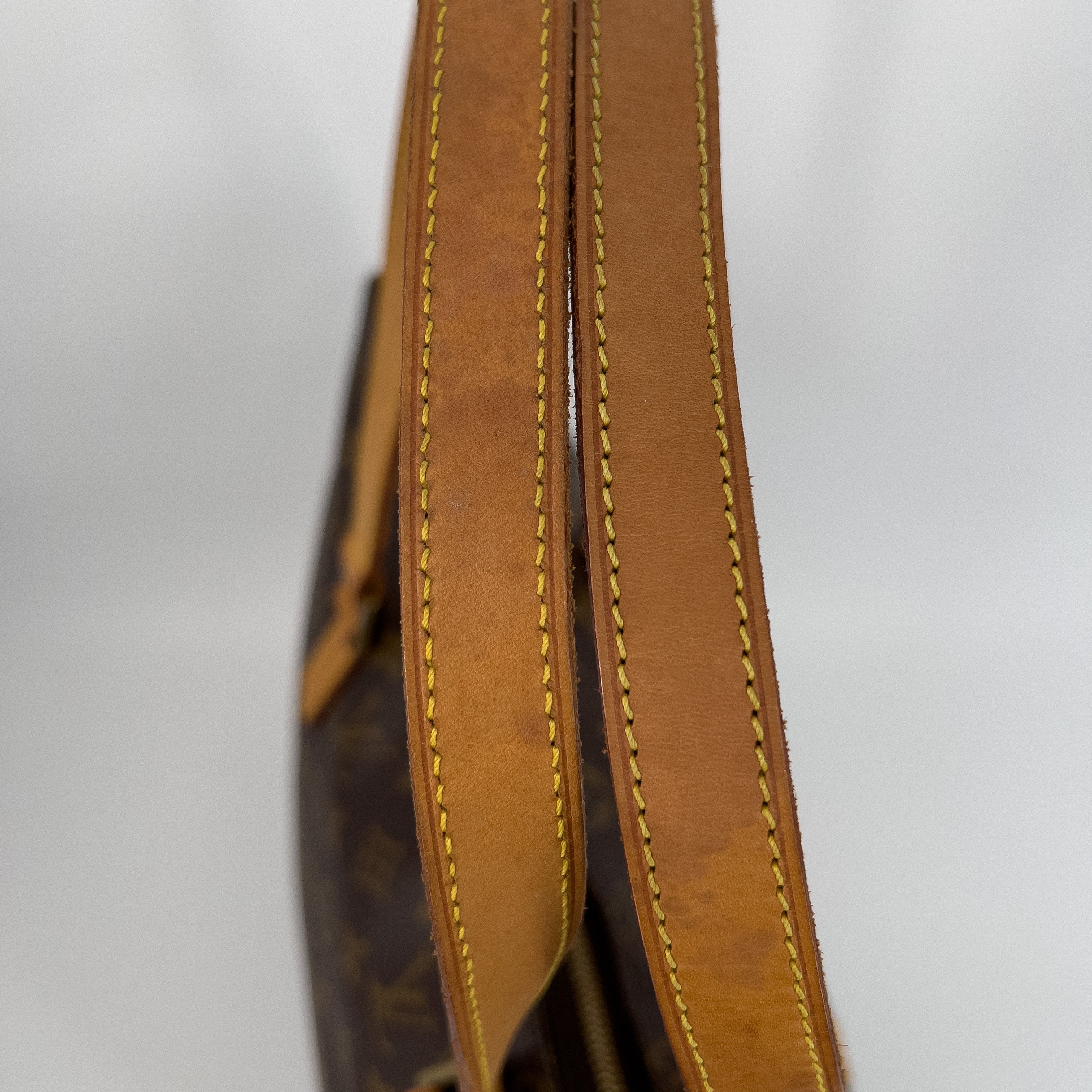 Cabas Mezzo Monogram Canvas