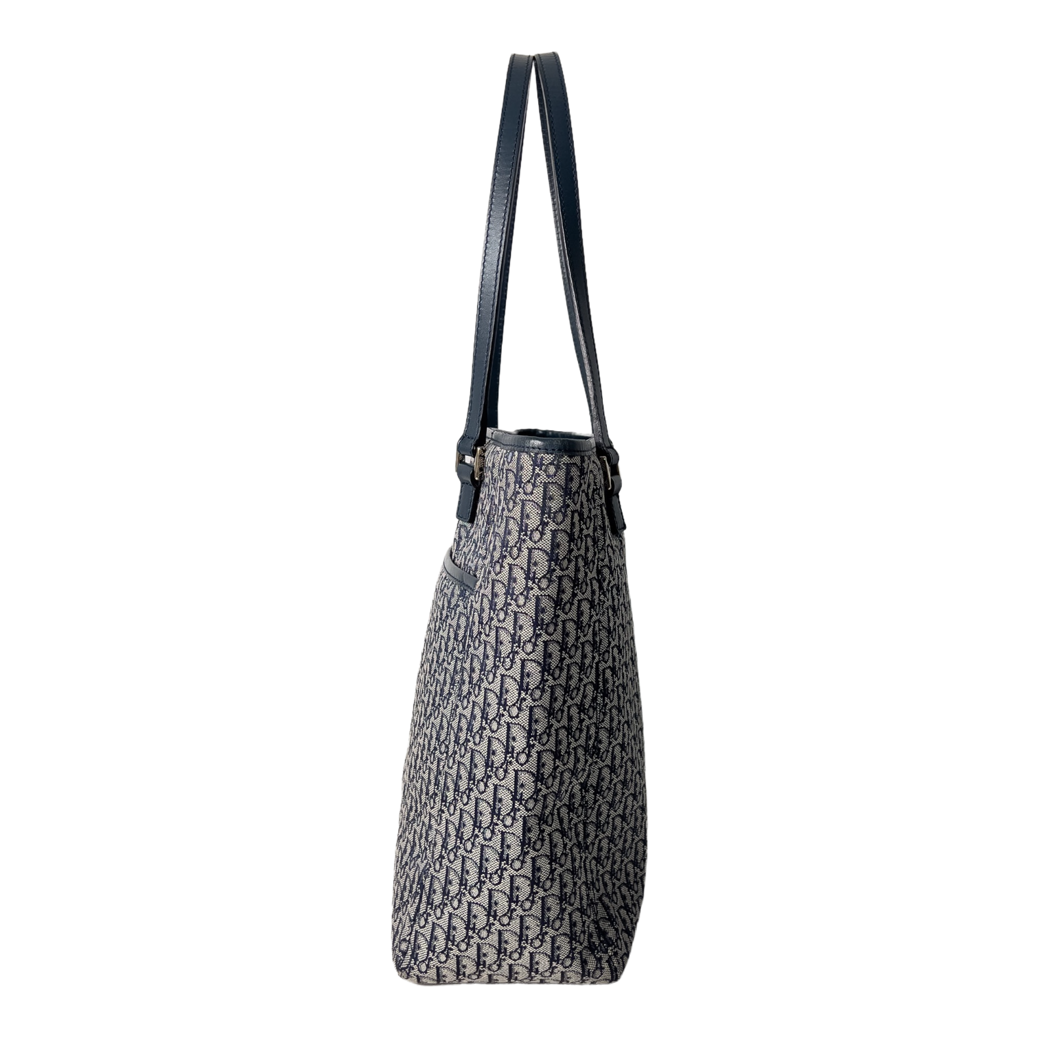 Small Trotter Canvas Tote