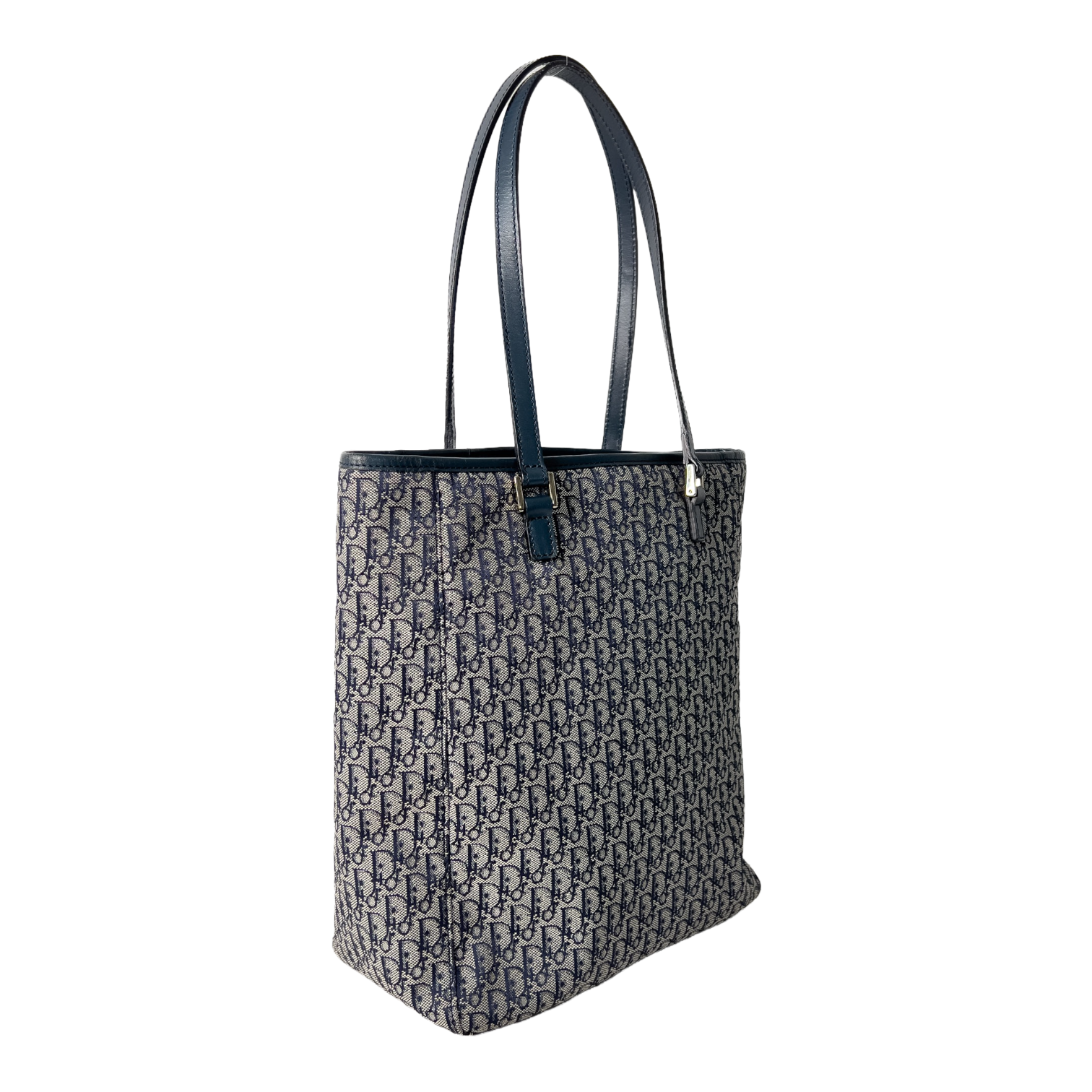 Small Trotter Canvas Tote