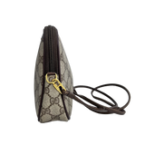 Small Brown GG Web Crossbody