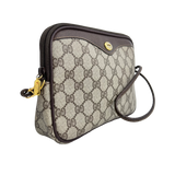 Small Brown GG Web Crossbody