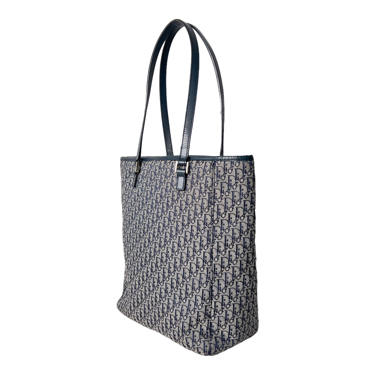 Small Trotter Canvas Tote