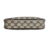 Small Brown GG Web Crossbody
