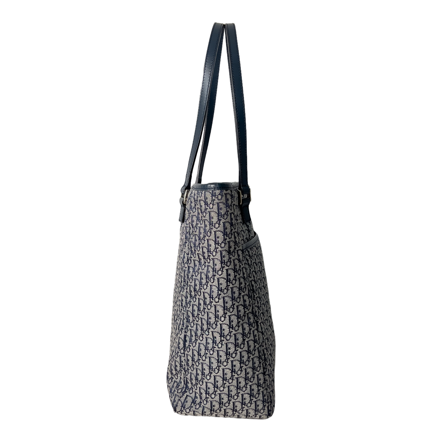 Small Trotter Canvas Tote