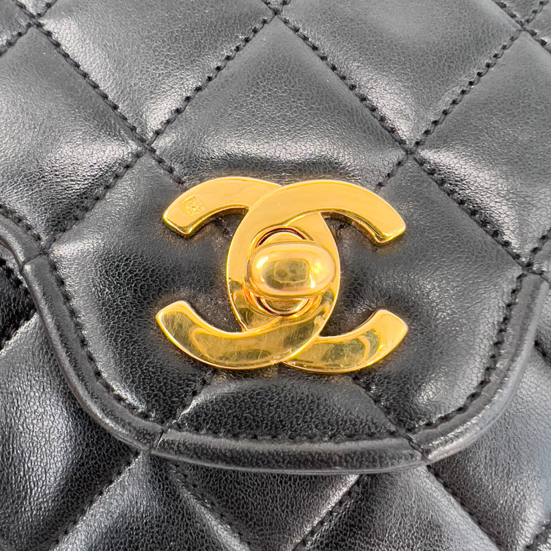 Black Small Quilted Lambskin Double Flap Bag