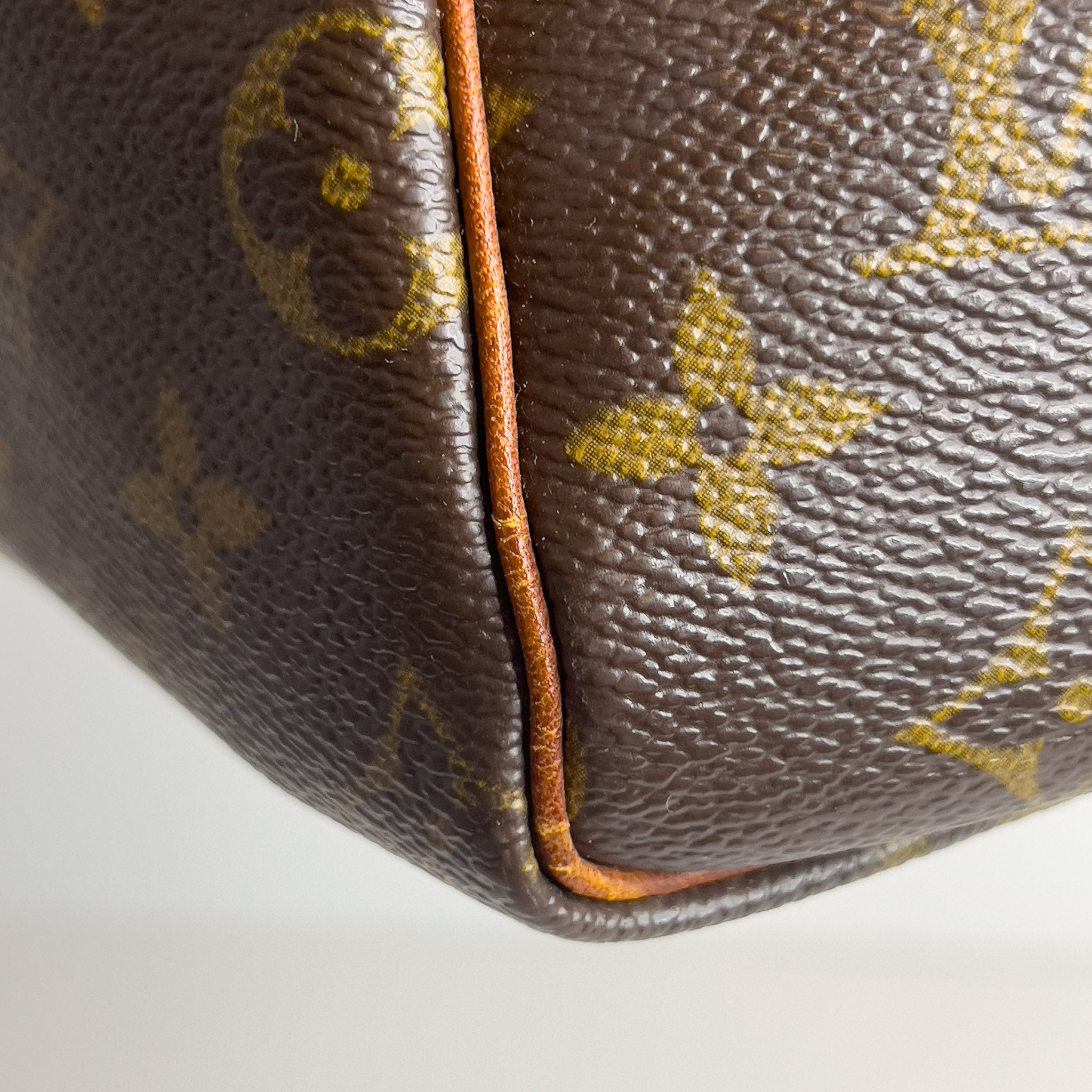 Monogram Speedy 25